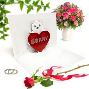 Sorry Red Bear Pop Up Card