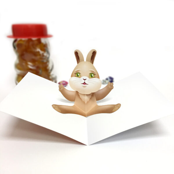 Rabbit Pop Up Card